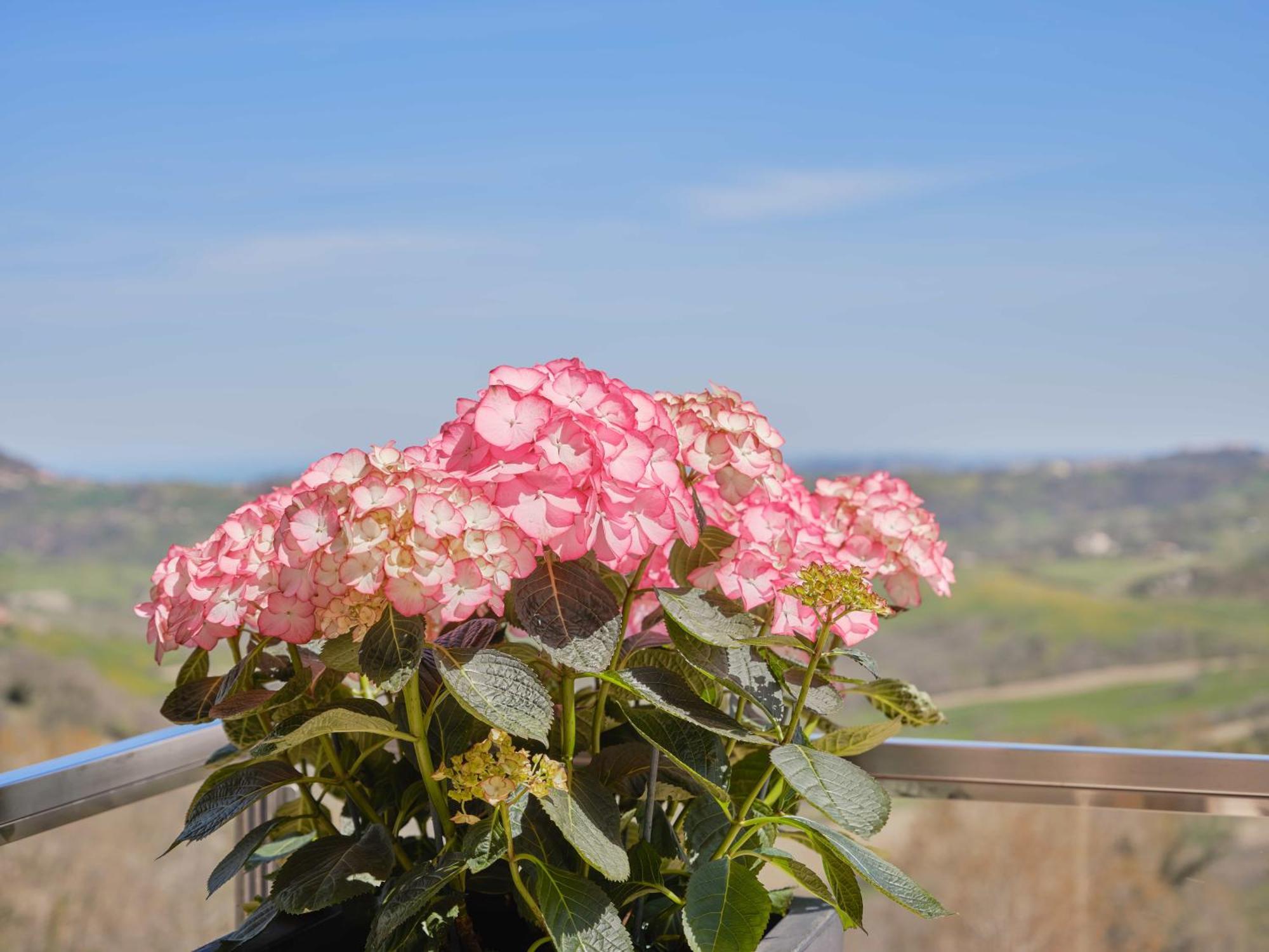 Albergo Diffuso - Il Poggetto Tra Urbino & San Marino ภายนอก รูปภาพ